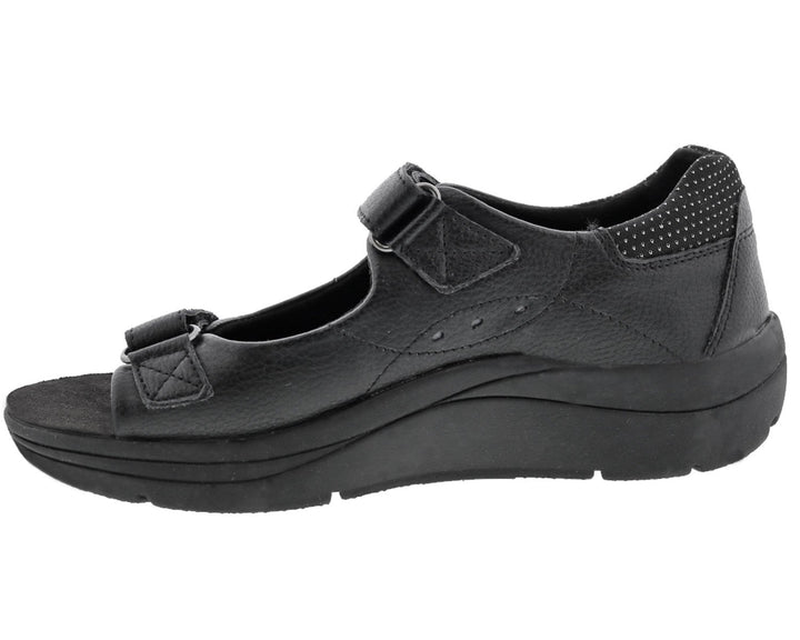 SHASTA Black