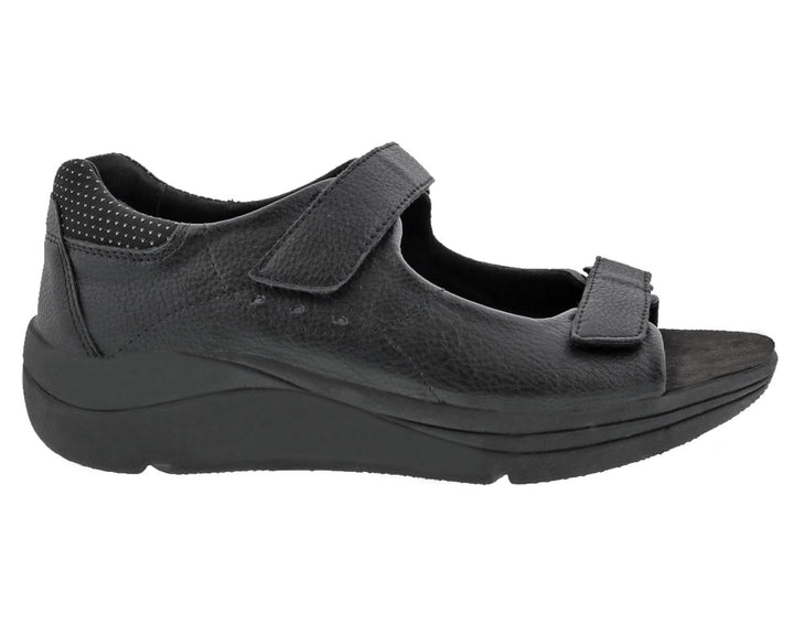SHASTA Black