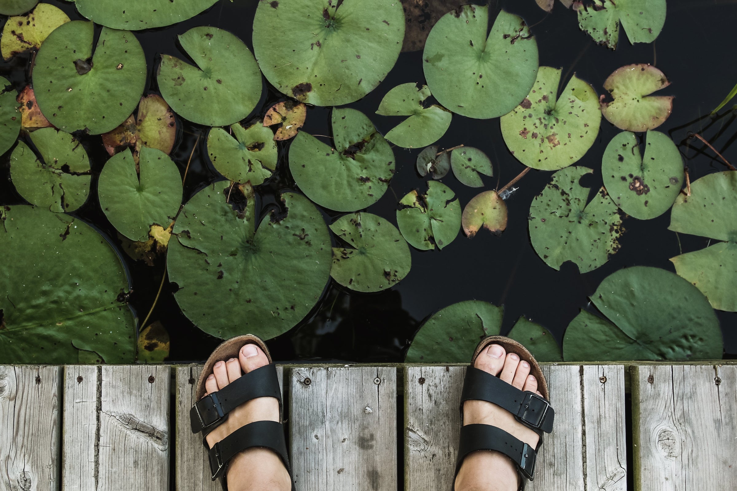 Men's Sandals